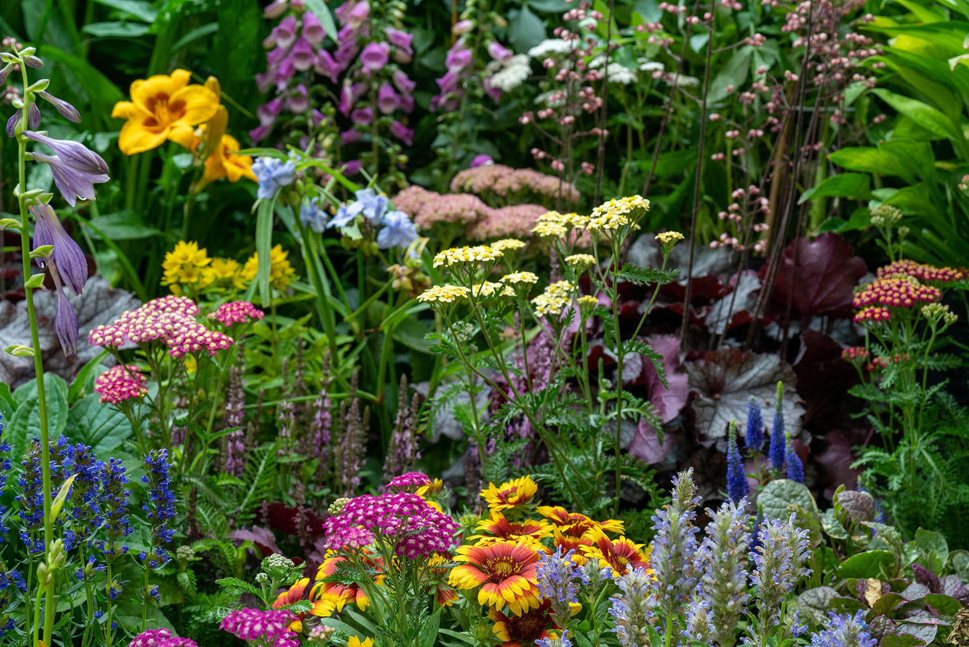 Why some green spaces feel right in spring, and others don’t