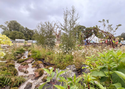 Mindful Meadowlands, Sandringham