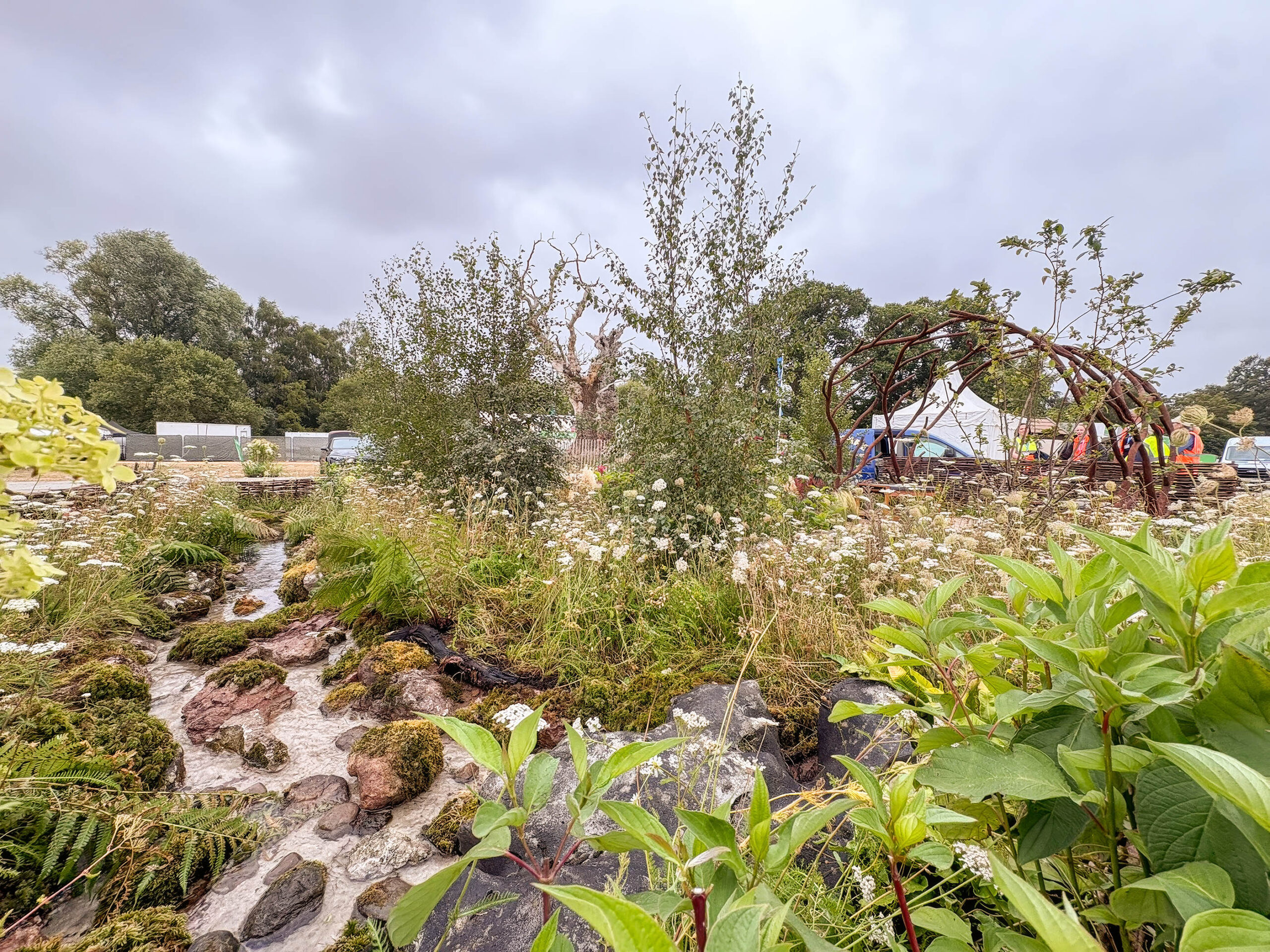 Mindful Meadowlands, Sandringham